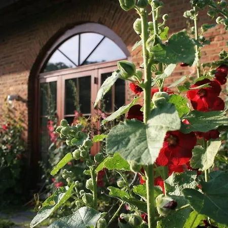 Ferienhaus Quellenhof Comfortable Holiday *